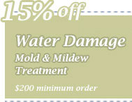 Cleaning Coupons | 15% off mold & mildew removal | CITICLEAN